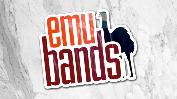 EmuBands Apakah Agregator Musik yang Efektif